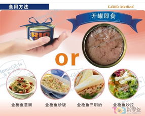 意法精品專售與閑置交易區 探索歐洲品質日用品與二手好物